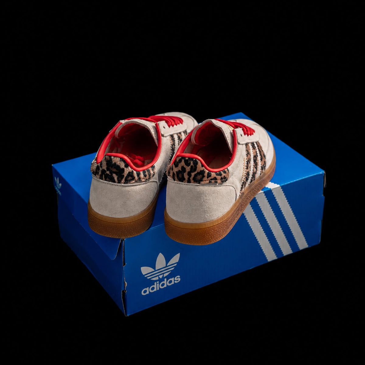 Handball Spezial Leopard