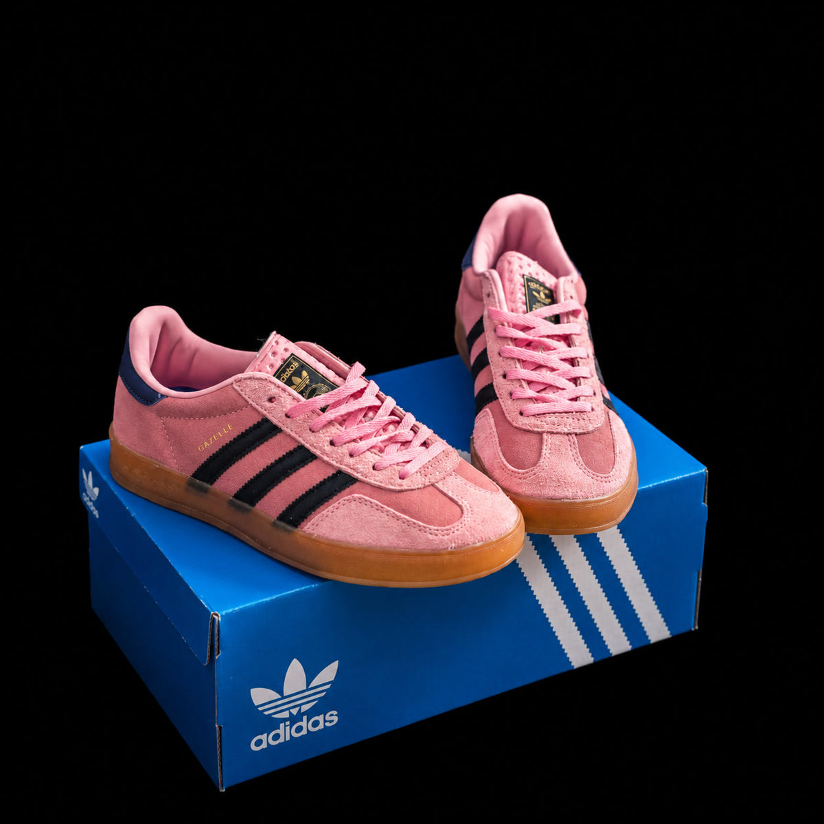 Gazelle Rosa y Negra